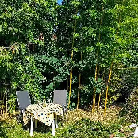 Apartment Und 